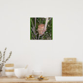 Poster Philippine Tarsier (Cuisine)