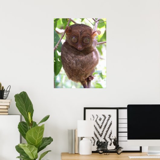 Poster Philippine Tarsier Imprimer (Bureau à domicile)