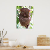Poster Philippine Tarsier Imprimer (Cuisine)