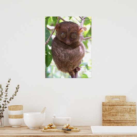 Poster Philippine Tarsier Imprimer (Cuisine)