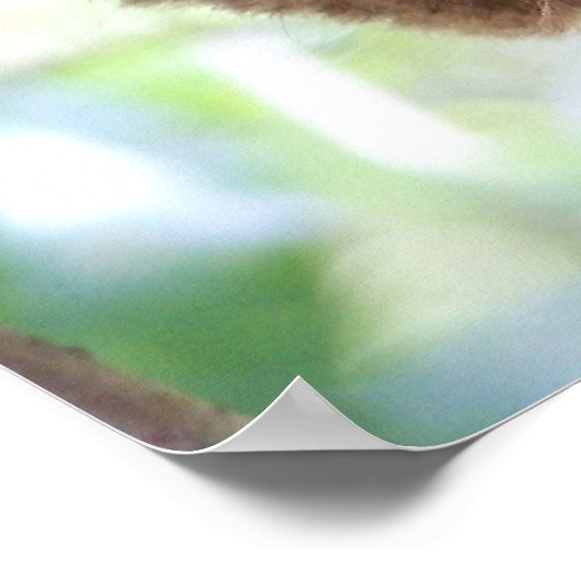 Poster Philippine Tarsier Imprimer (Coin)