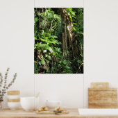 Poster Philodendrons hawaïens sauvages (Cuisine)