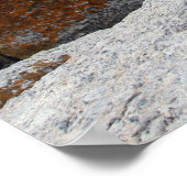 Poster Philosophie des pingouins (Coin)