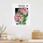 Poster Phlox (Cuisine)