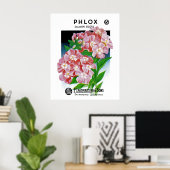 Poster Phlox (Bureau à domicile)