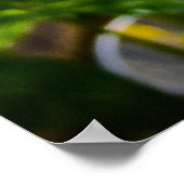 Poster Phlox, (Coin)