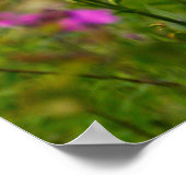 Poster Phlox près d'un cimetière (Coin)