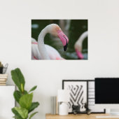 Poster Phoenicopterus roseus (Bureau à domicile)