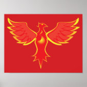 Poster Phoenix (Devant)