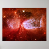 Poster Phoenix (Devant)