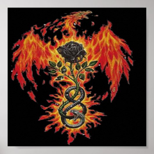 Poster Phoenix (Devant)