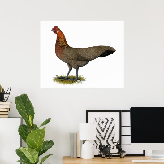 Poster Phoenix : BB Red Hen (Bureau à domicile)