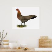 Poster Phoenix : BB Red Hen (Cuisine)