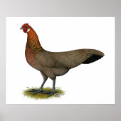 Poster Phoenix : BB Red Hen (Devant)