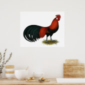 Poster Phoenix : BB Red Rooster (Cuisine)