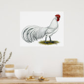 Poster Phoenix : Coq blanc (Cuisine)