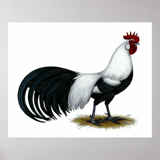 Poster Phoenix : Coq de canard argenté (Devant)