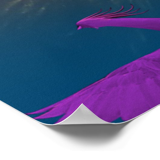 Poster Phoenix dans l'espace (Coin)