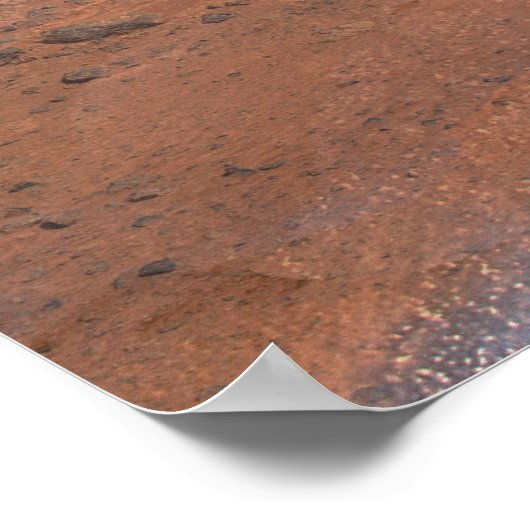 Poster Phoenix Mars Lander 2 (Coin)