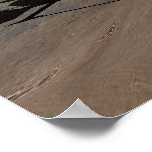 Poster Phoenix Mars Lander 4 (Coin)