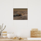 Poster Phoenix Mars Lander 4 (Cuisine)