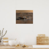 Poster Phoenix Mars Lander 5 (Cuisine)