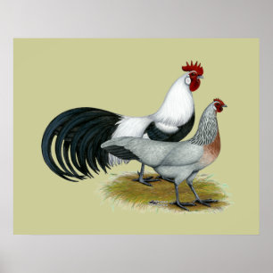 Poster Phoenix : Paire de caniche en argent