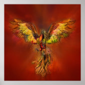 Poster Phoenix Rising - ciel rouge (Devant)