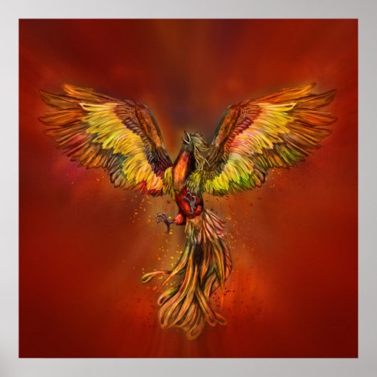 Poster Phoenix Rising - ciel rouge (Devant)