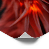 Poster 🔥 Phoenix Rising - Oiseau de Feu Fantastique Maje (Coin)