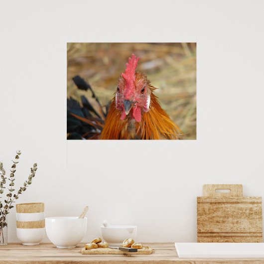 Poster Phoenix Rooster (Cuisine)
