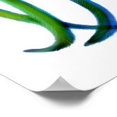 Poster Phoenix Rooster (Coin)