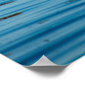 Poster Phoque commun (Coin)