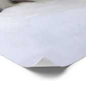 Poster Phoque de la harpe de bébé (Coin)