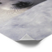 Poster Phoque du Groenland (Phoca groenlandica) Gropes de (Coin)