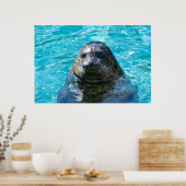 Poster Phoque du port (Cuisine)