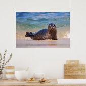Poster Phoque du port bébé dans l'eau (Cuisine)