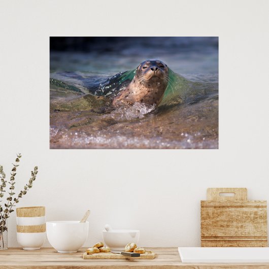 Poster Phoque du port pour bébés (Cuisine)
