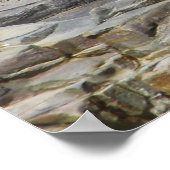 Poster Phoque du port pour bébés, Port de Bar, Maine (Coin)