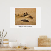 Poster Phoque éléphant de Californie du Nord (Cuisine)