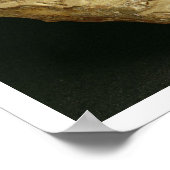 Poster Phoque Steatite Pasupati, Mohenjodaro, 2300-1750 a (Coin)