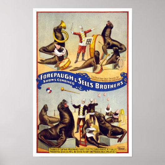 Poster Phoques de cirque merveilleusement dressés, 1899. (Devant)