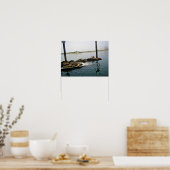 Poster Phoques du port, Morro Bay, Californie (Cuisine)