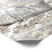 Poster Phoques et oiseaux (Coin)