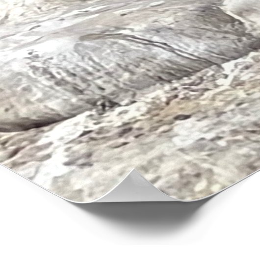 Poster Phoques et oiseaux (Coin)