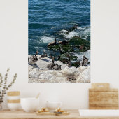 Poster Phoques et oiseaux (Cuisine)