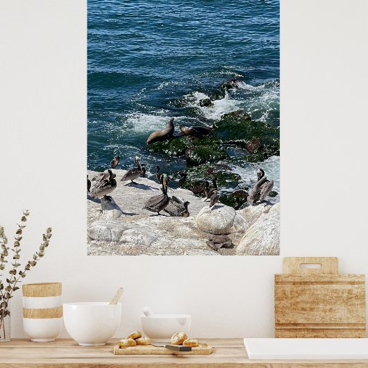 Poster Phoques et oiseaux (Cuisine)