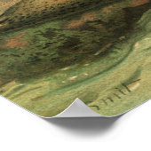 Poster Phoques léopards, Animaux aquatiques Vintages Vie  (Coin)