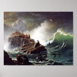 Poster Phoques sur les rochers par Albert Biestadt
