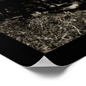 Poster Photo 1906 du lac Leaf (Coin)